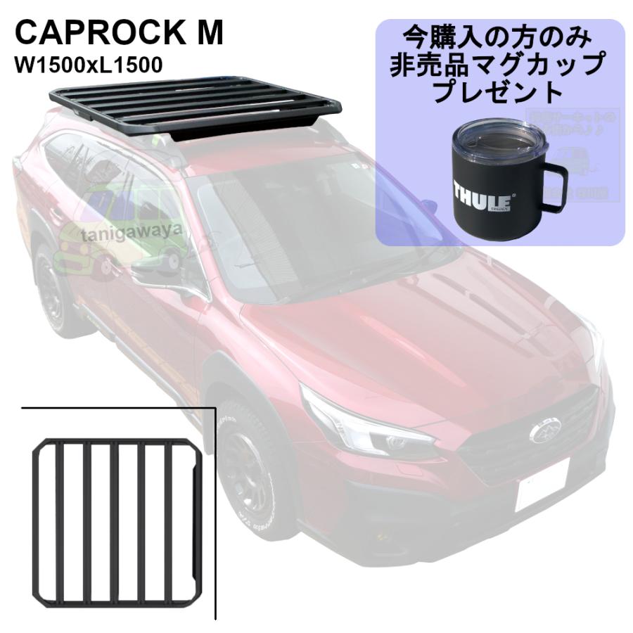 THULE 7/20店在庫アリ CapRock M | th611002 スーリー キャップ