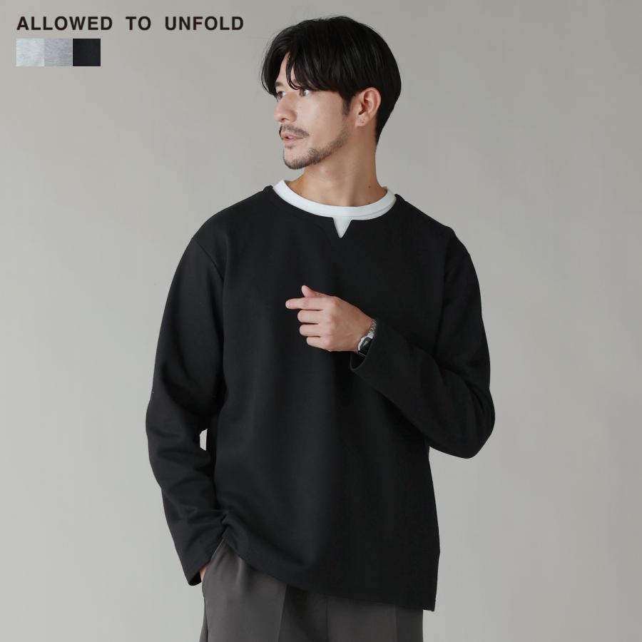 プルオーバー カットソー メンズ 秋 冬 フェイクレイヤード 長袖