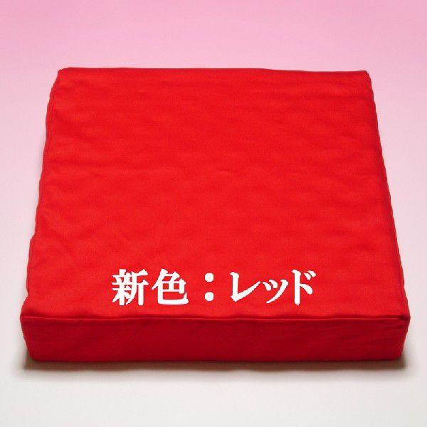 ハイブリッドクッション（レギュラー） 肛門科病院の待合室に置いてあるクッション 日本製 円座クッション 痔 手術後 患部保護　郵送不可 |  | 03