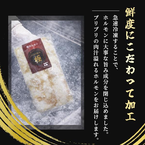 【至高の焼肉　シロコロホルモン、牛タンラーメンセット】国産豚シロコロホルモン150g＆大満足！牛タン120g入り本気のユッケジャン風ラーメン各1食セット |  | 01