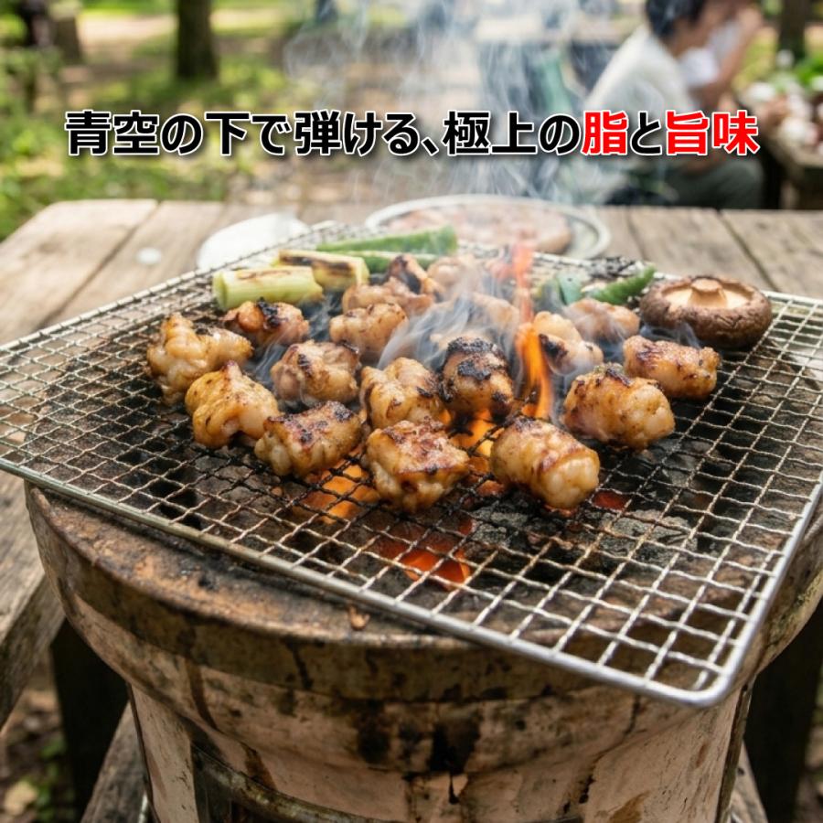 【至高の焼肉　味噌ホルモン3パック】国産牛味噌ホルモン150g×3パック　タレ付き　焼肉　鍋におすすめ |  | 05