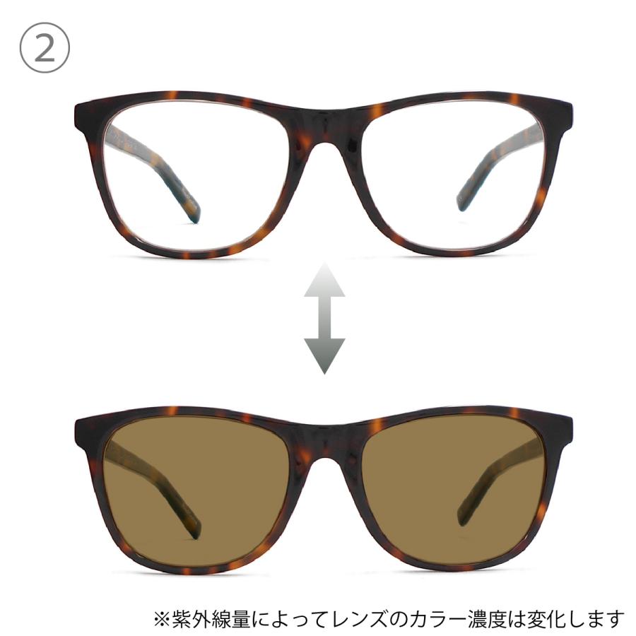 BLACK FLYS 【調光レンズ】BLACK サングラス ブラックフライ FLY