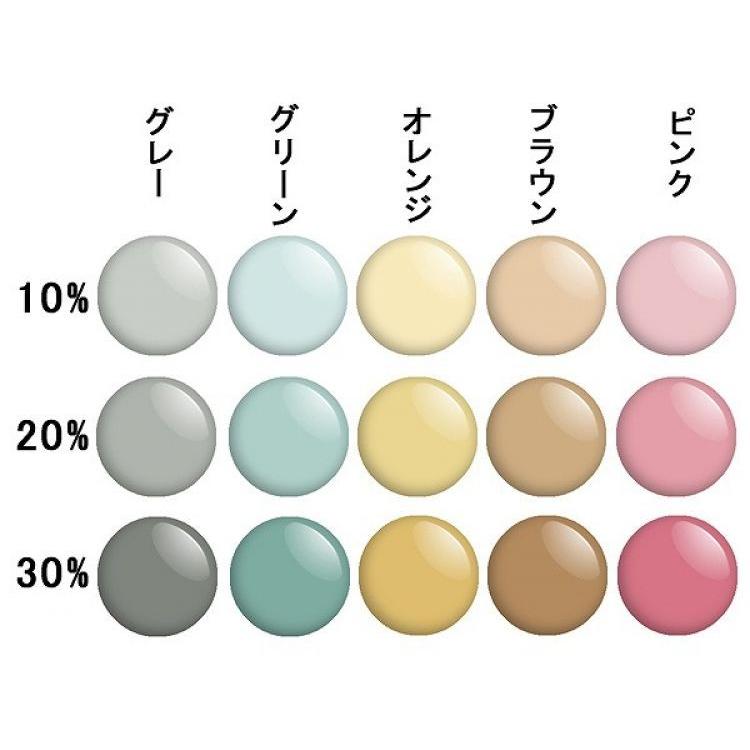 光学 RIDEZ Protection Eyewear GROWTH RS908 偏光サングラス