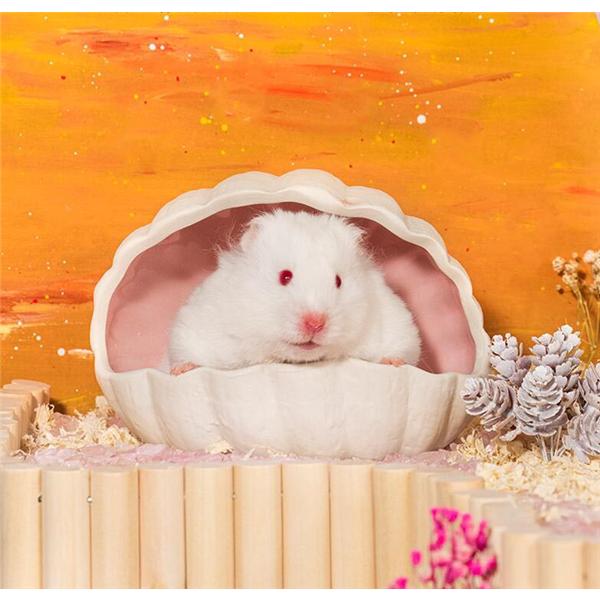 ハムスター 巣 夏 ひんやり ペット 小動物用 暑さ 熱中症 対策 涼感 陶器 寝床 可愛い シェルデザイン 21glsqysp147 Ydyshop 通販 Yahoo ショッピング