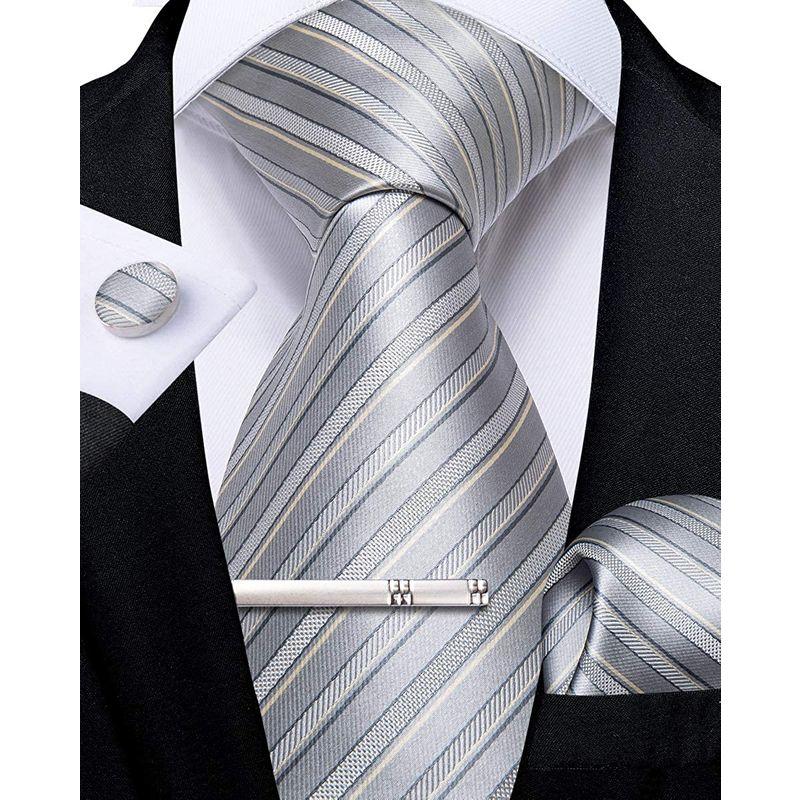日本最大の日本最大のDiBanGu ネクタイ 結婚式 シルバー ビジネス ネクタイ ポケットチーフ タイクリップ セット ギフトボックス付き 就活  入学式 礼服用ネクタイ