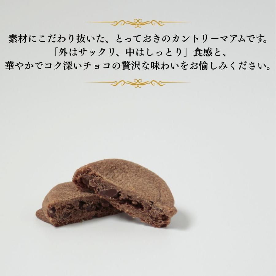 不二家（FUJIYA） お菓子 ギフト 個包装 駄菓子 カントリーマアム 厳選