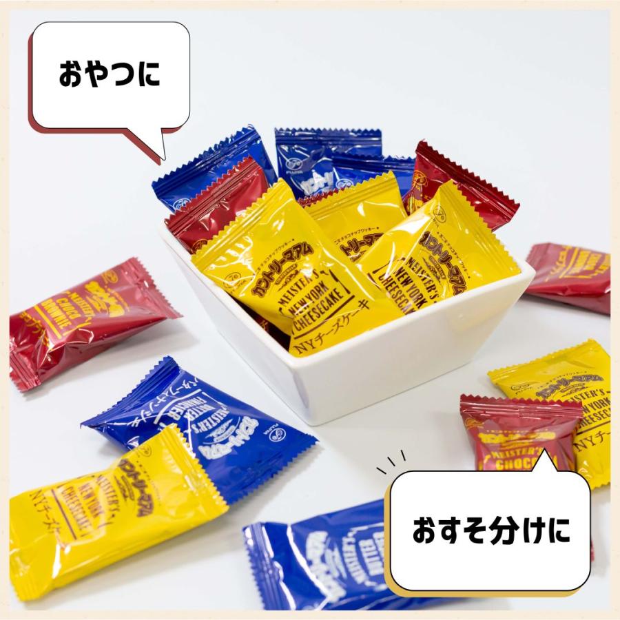 不二家（FUJIYA） お菓子 個包装 駄菓子 カントリーマアム マイ