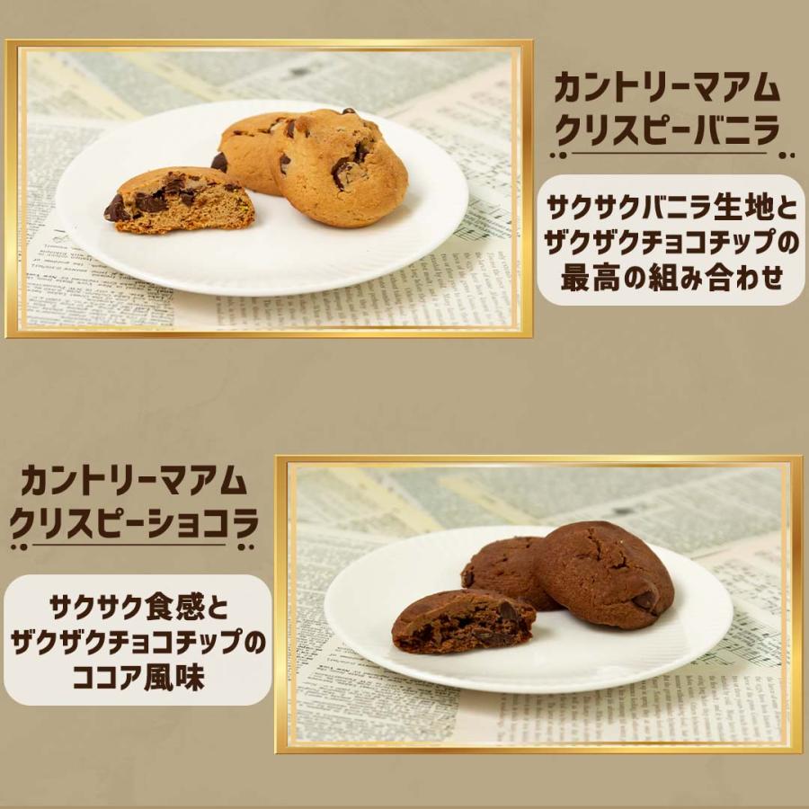 カントリーマアム お菓子 詰め合わせ 個包装 不二家 10種 30枚
