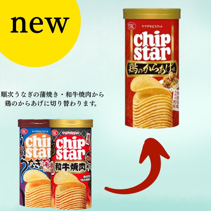 chip star ポイント消化 お菓子 ポテトチップス 詰め合わせ チップ