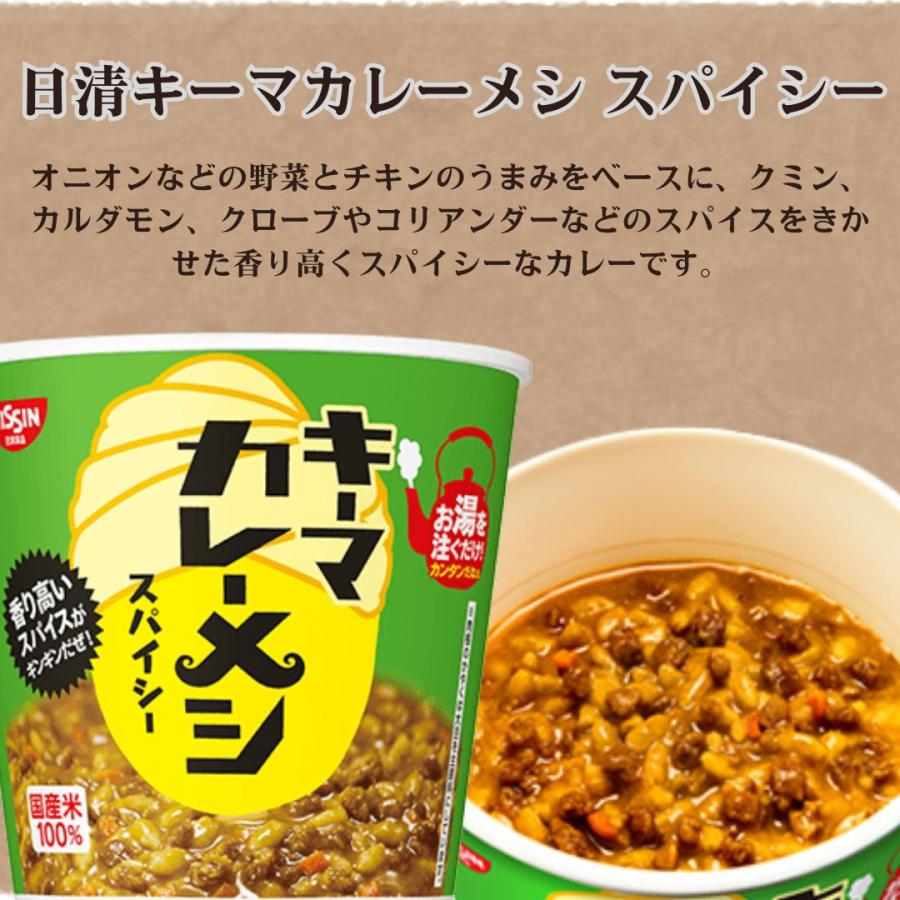 日清 カレーメシ6箱セット 日清カレーメシ 日清 カレーメシ シリーズ 欧風ビーフ 6食 レトルト