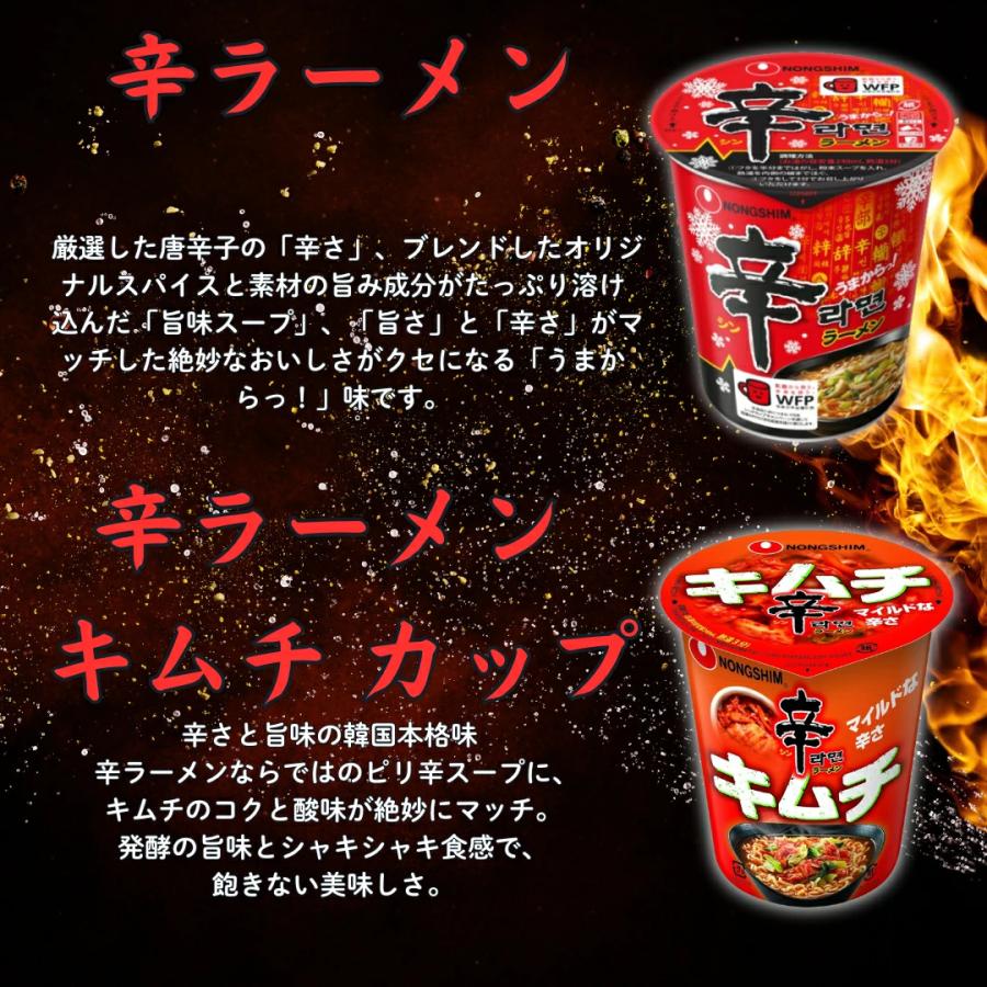 カップラーメン 詰め合わせ 12食セット カップ麺 インスタントラーメン