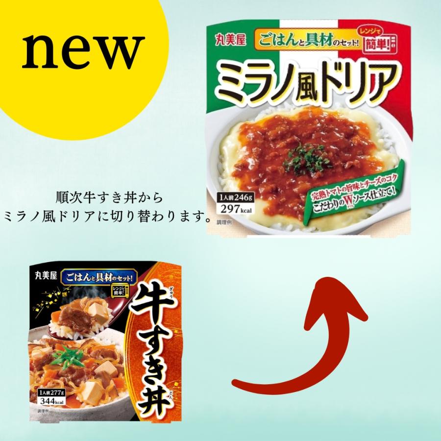 丸美屋 レトルト食品 詰め合わせ 常温保存 丼 レトルト ごはん付き 18