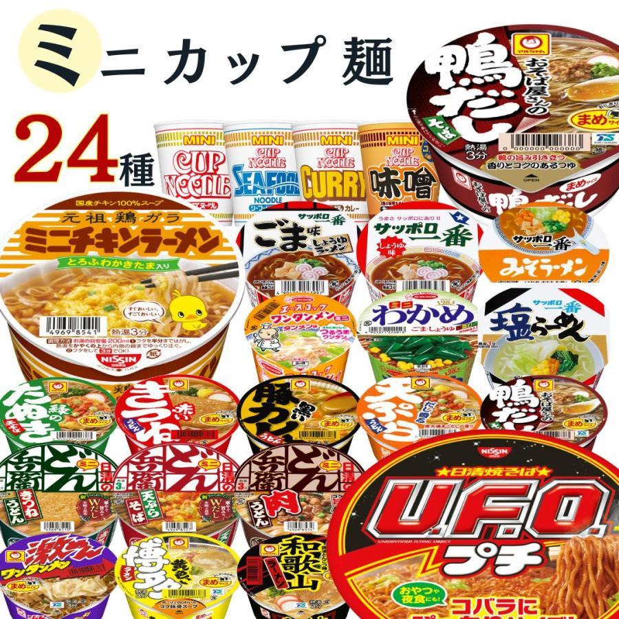 日清食品 カップ麺 箱買い 安い カップラーメン まとめ買い ミニ 24種