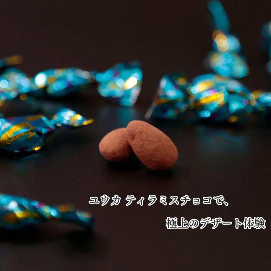 ティラミスチョコ ユウカ 400g 2袋 チョコレート お菓子 アーモンド