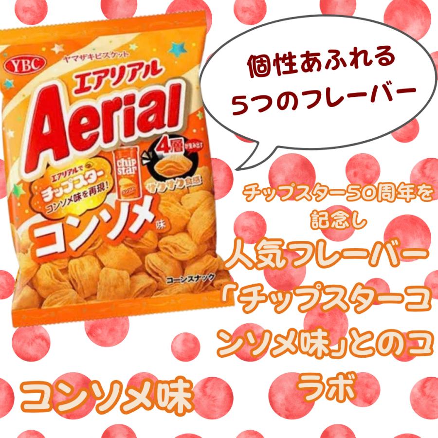 エアリアル スナック菓子 箱入り ギフト お菓子アソート 5種 各2袋