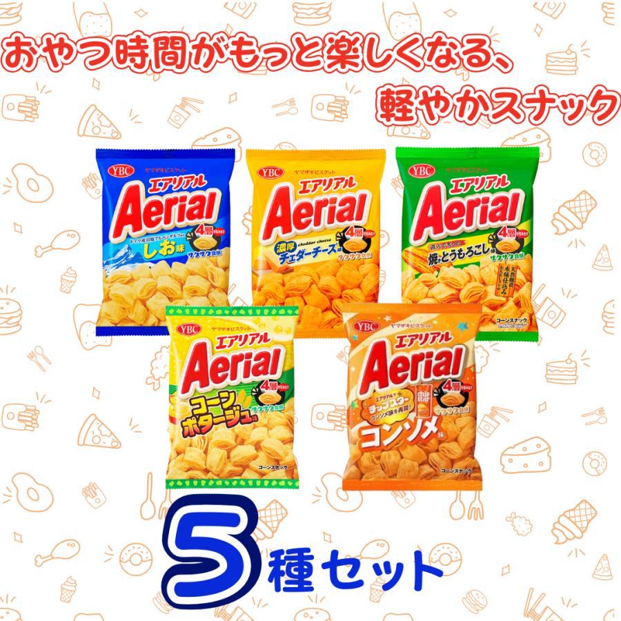 エアリアル スナック菓子 箱入り ギフト お菓子アソート 5種 各2袋