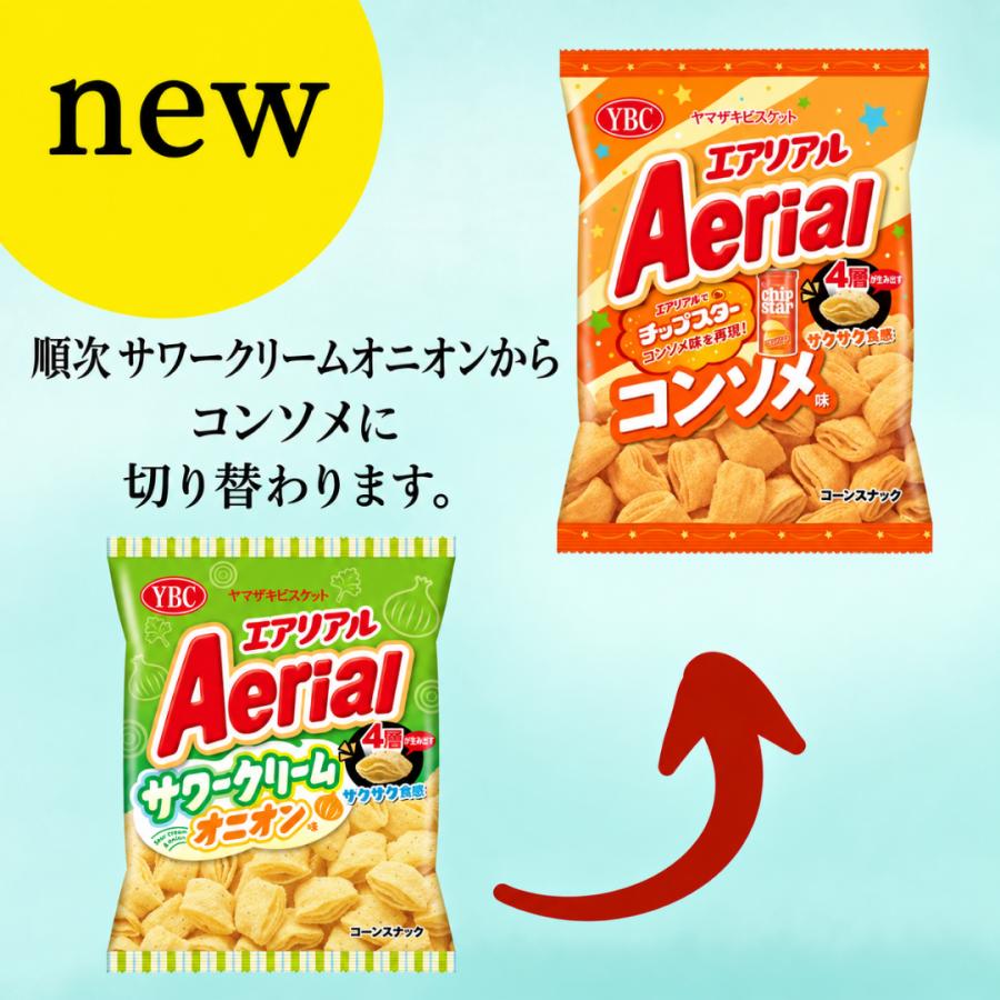 エアリアル スナック菓子 箱入り ギフト お菓子アソート 5種 各2袋