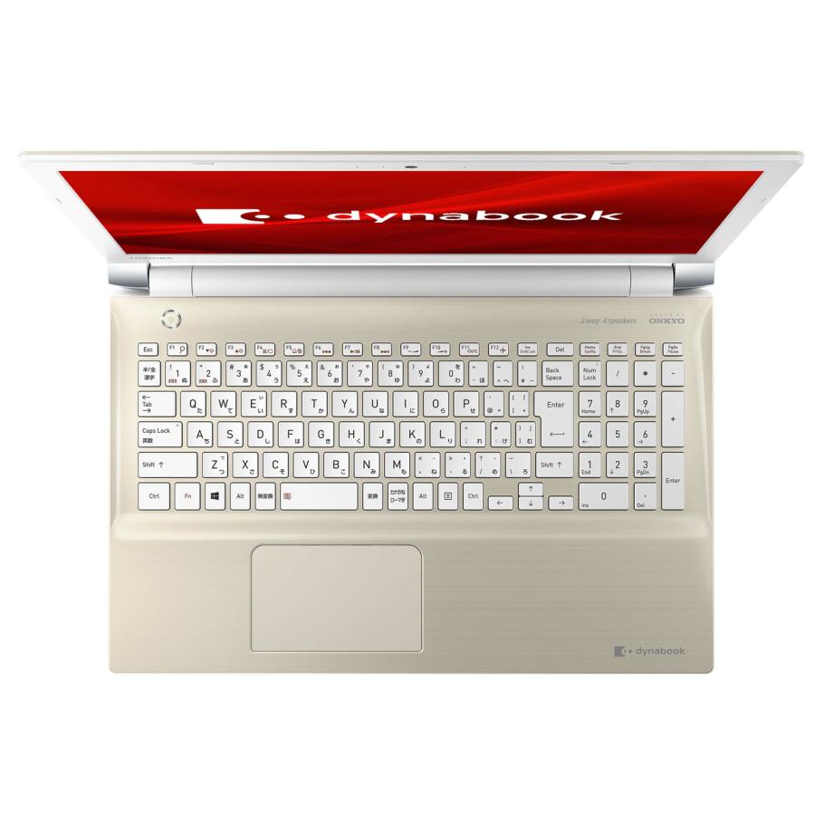 dynabook P TOSHIBA Dynabook P1-T4KP-BG Celeron 3867U / メモリ8GB