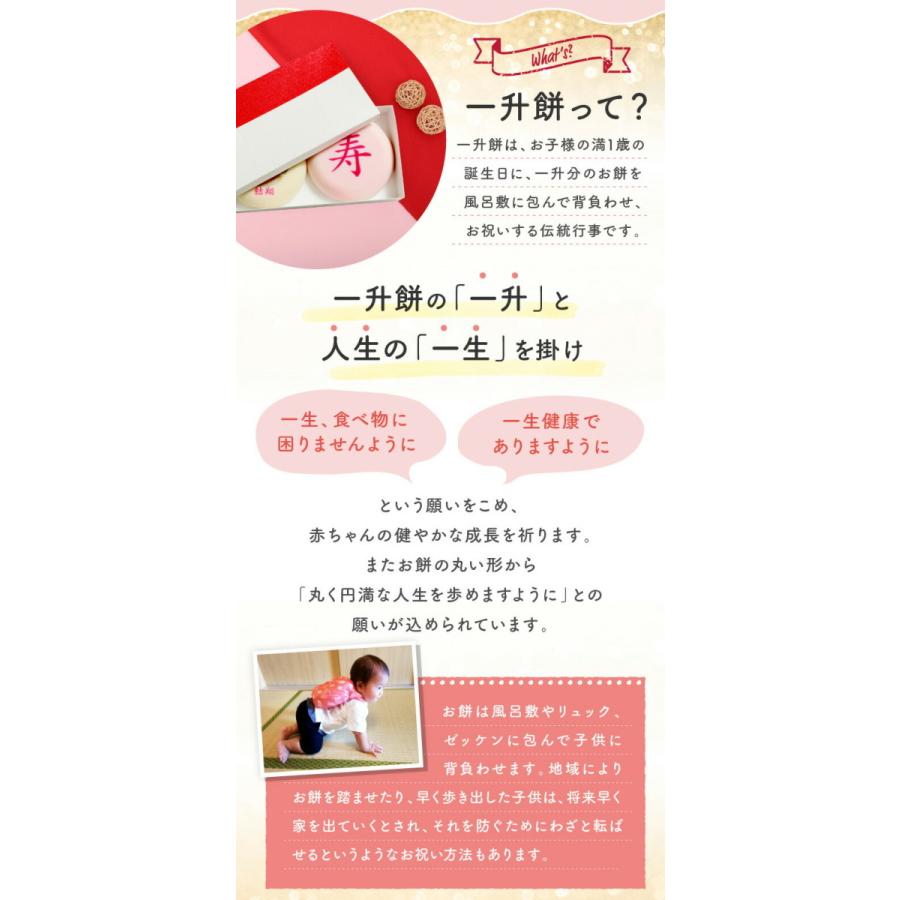 Sale 58 Off 写真 一升餅 セット 冷蔵便 冷 一生餅 背負い餅 名前入り 風呂敷 選び取りカード 御祝い 一歳 誕生日 プリント Aynaelda Com
