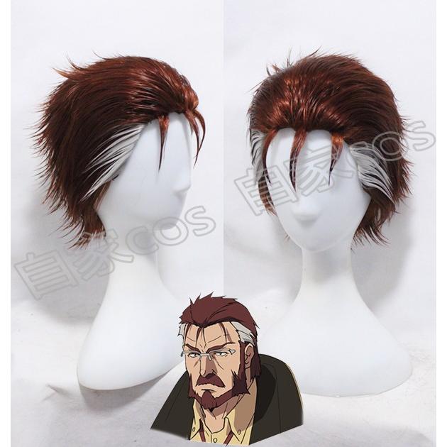 Cosplay Wig Re Creators レクリエイターズ ブリッツ トーカー コスプレウイッグ 高温耐熱 コスチューム ネット付き Cre06 Srs H 通販 Yahoo ショッピング