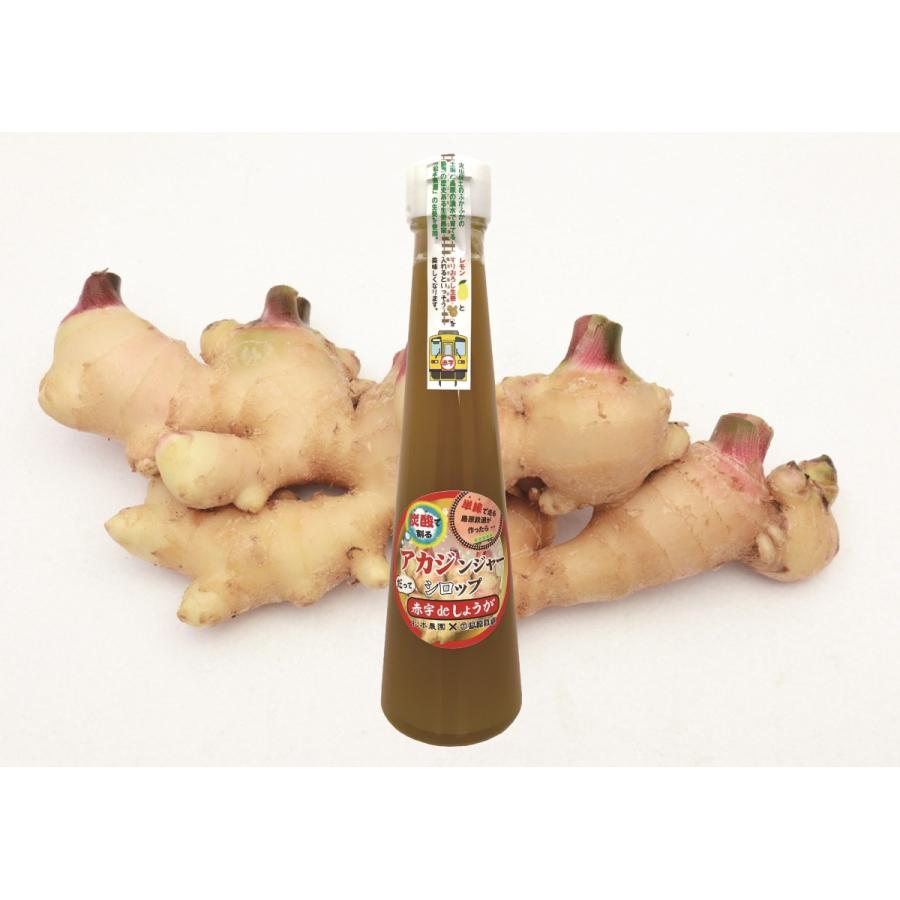 アカジンジャーシロップ　赤字 de しょうが　★島鉄（しまてつ）島原鉄道グッズ★ |  | 01