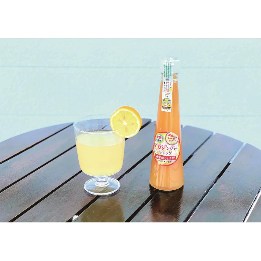 アカジンジャーシロップ　赤字 de しょうが　★島鉄（しまてつ）島原鉄道グッズ★ |  | 04