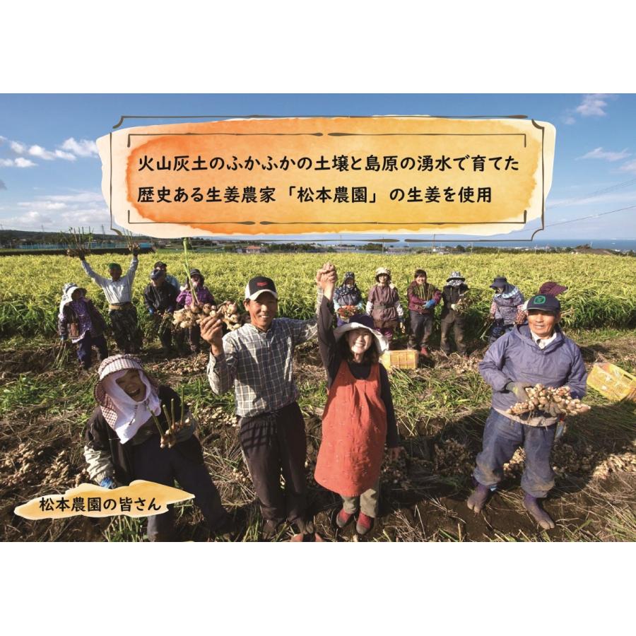 アカジンジャーシロップ　赤字 de しょうが　★島鉄（しまてつ）島原鉄道グッズ★ |  | 05