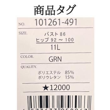 フィットネス水着 大きいサイズ セパレート レディース 体系カバー