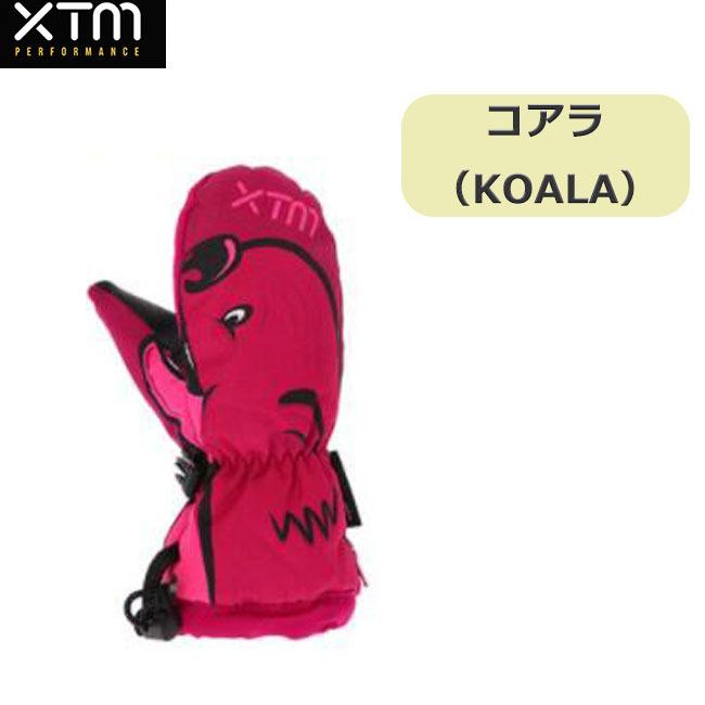 XTM キッズグローブ スノーグローブ ユニセックス 子供用 スノーボード