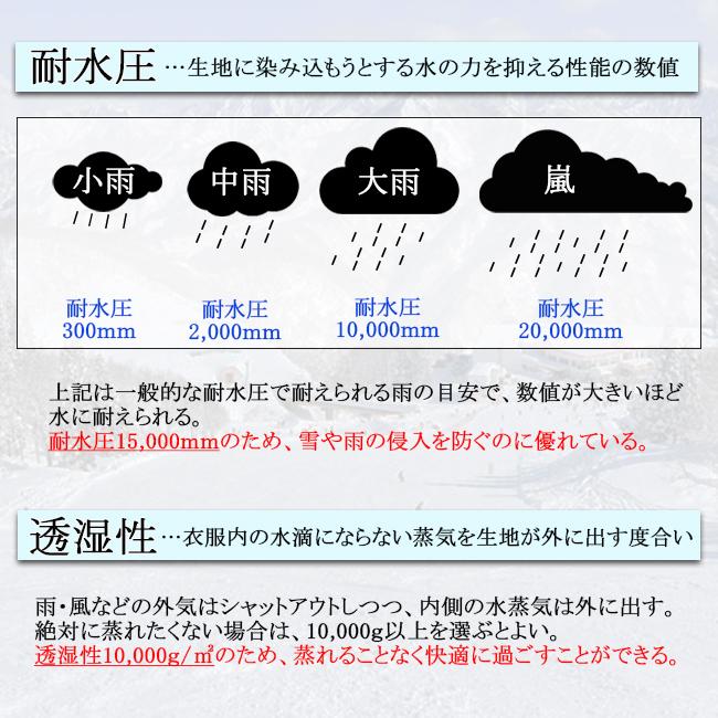 スノーグローブ　グローブ　レディース　ミトングローブ　女性用　耐水圧　透湿性　アクセサリー　スキー　スノーボード　　XTM　エックスティエムCL009 |  | 03