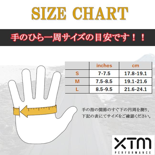 スノーグローブ XTM エックスティエム グローブ メンズ スキー
