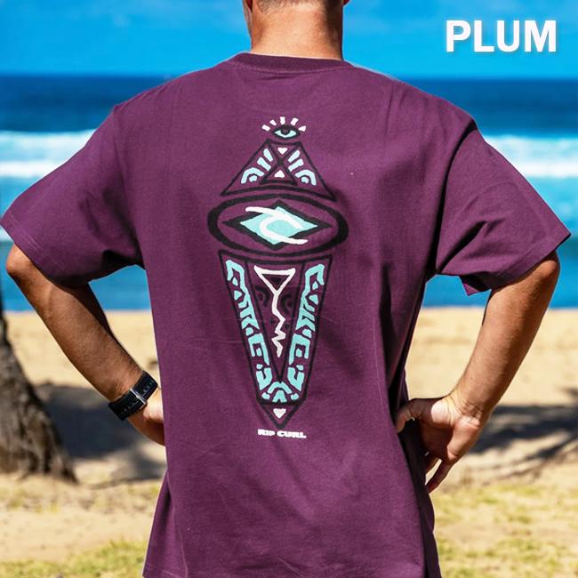 メンズ　半袖   Tシャツ　リップカール　RIPCURL　男性用　コットン 100%　スポーツ　アウトドア　CTEZH9 |  | 01