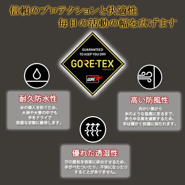 スノーグローブ グローブ レディース GORE-TEX スキー スノーボード