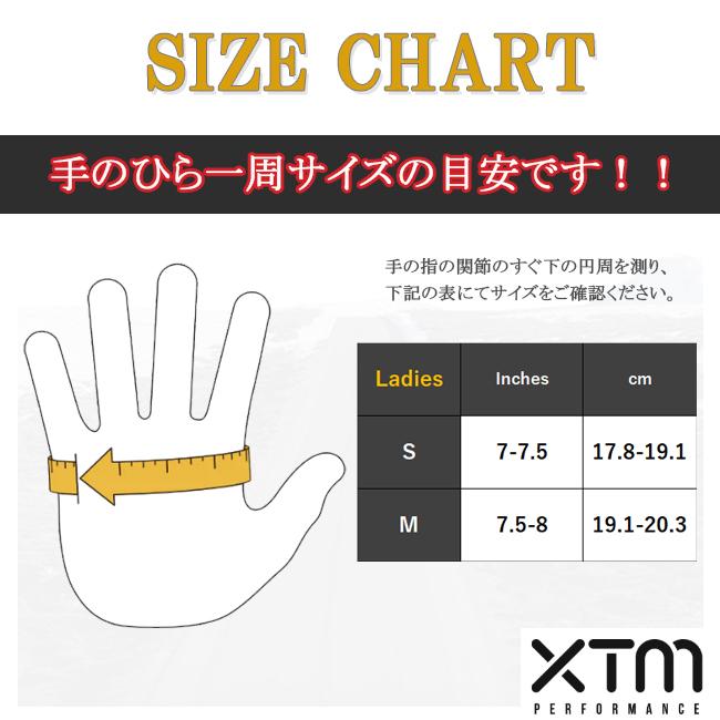 スノーグローブ グローブ レディース GORE-TEX スキー スノーボード