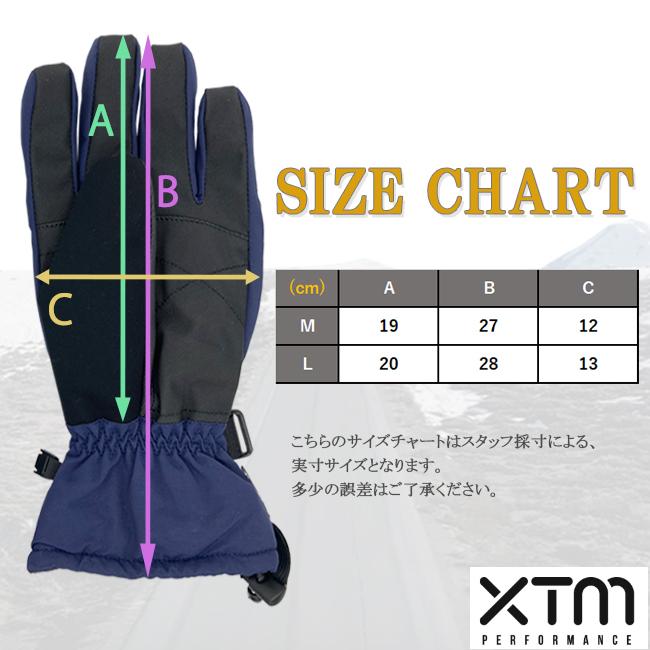 スノーグローブ グローブ メンズ GORE-TEX スキー スノーボード