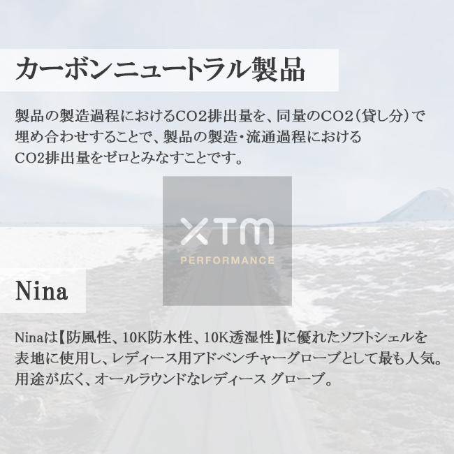 スノーグローブ グローブ レディース スノーボード スキー XTM