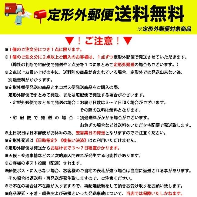 スキー　ボード　ワックス ガリウム　ガリウム配合　GALLIUM　板　ジェネラルジーペースト　全雪質対応　スポンジ付き　メンテナンス　小物　　SW2253 | GALLIUM | 06