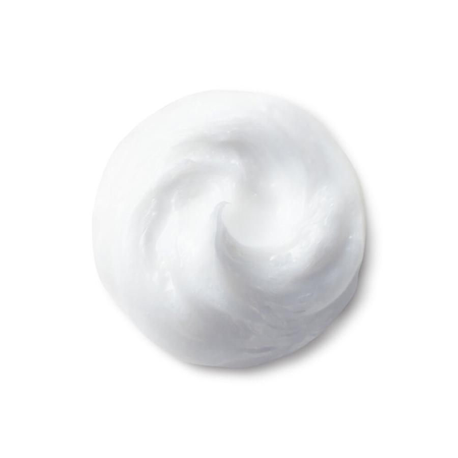 国内正規品 資生堂 スキンケア クラリファイング クレンジングフォーム 125g SHISEIDO｜ss-blanche｜03