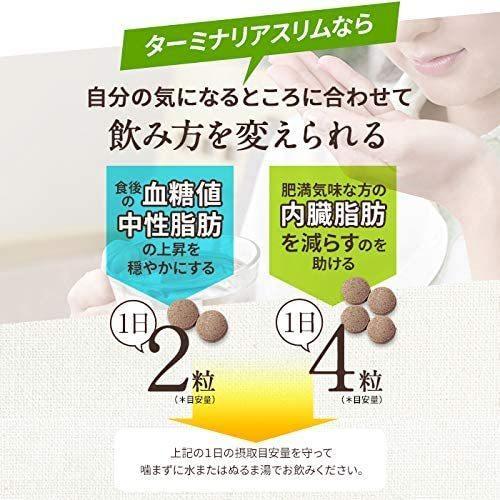 ターミナリアスリム 60粒 30日分 サプリメント : Select Shop MERGE 