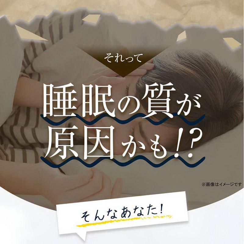 リフレのぐっすりずむ グッスリズム 睡眠 安眠 よく眠れる テアニン