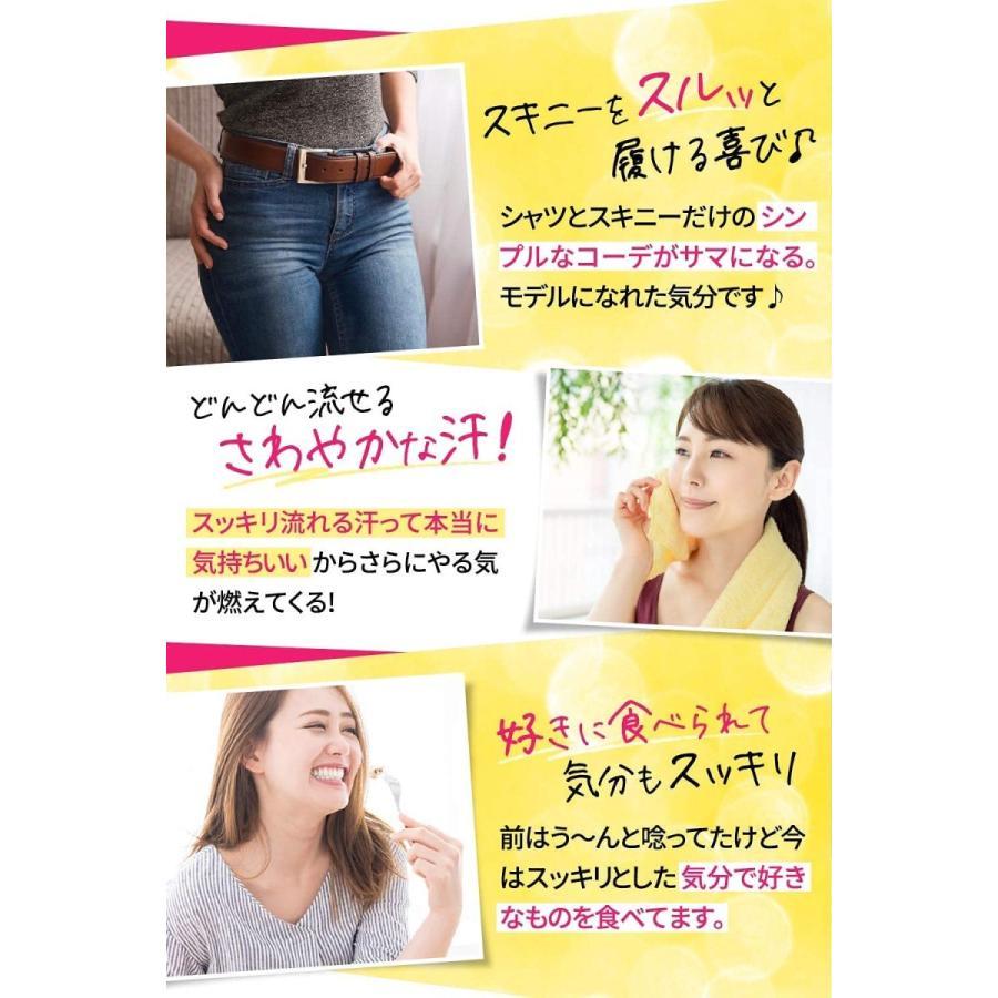 リカボ サプリ Re-CABO 3袋セット ダイエット サポート ジンセン 