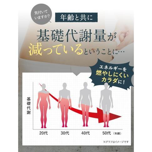 Dr. Surari ダイエットサプリ 30錠入り 2パックセット Dr. Surari ダイエットサプリ 30錠 楽天市場】【30日限定