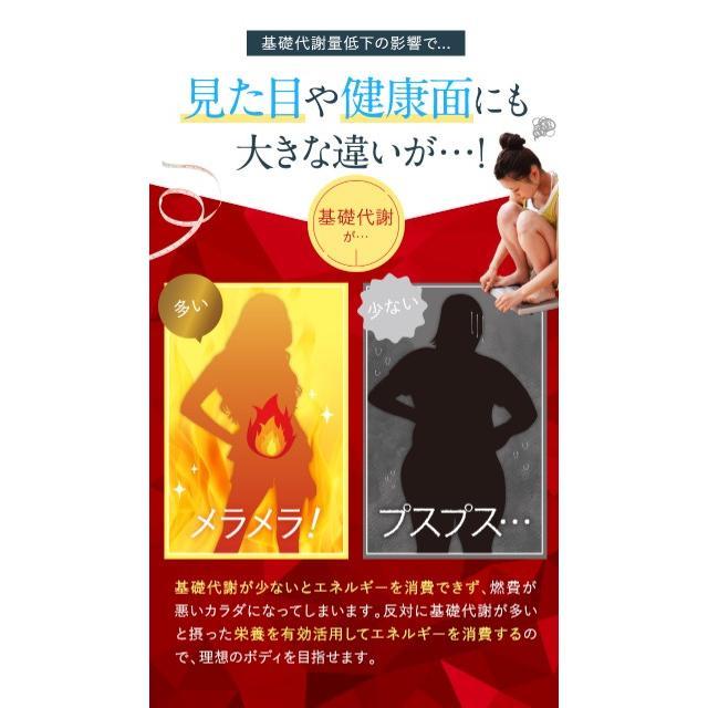Dr. Surari ダイエットサプリ 30錠 2パック お値下げ新品未開封 Dr. Surari ダイエットサプリ 30錠入り2袋
