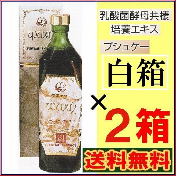 プシュケー 白箱 お得２箱セット 《16種の乳酸菌と24種の酵母 プッシュケー》 ※送料無料
