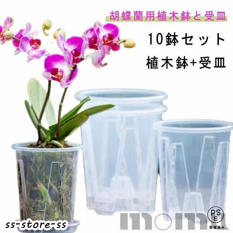 植木鉢 透明 10鉢セット 蘭の鉢 蝶蘭 穴付き 屋内 胡蝶蘭鉢 植木鉢 透明 10鉢セット 蘭の鉢 蝶蘭 穴付き 屋内 胡蝶蘭鉢