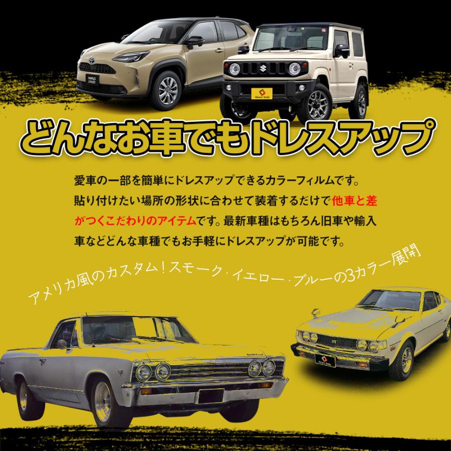 シェアスタイル カラーフィルム 30×20cm ヘッドライト フォグ