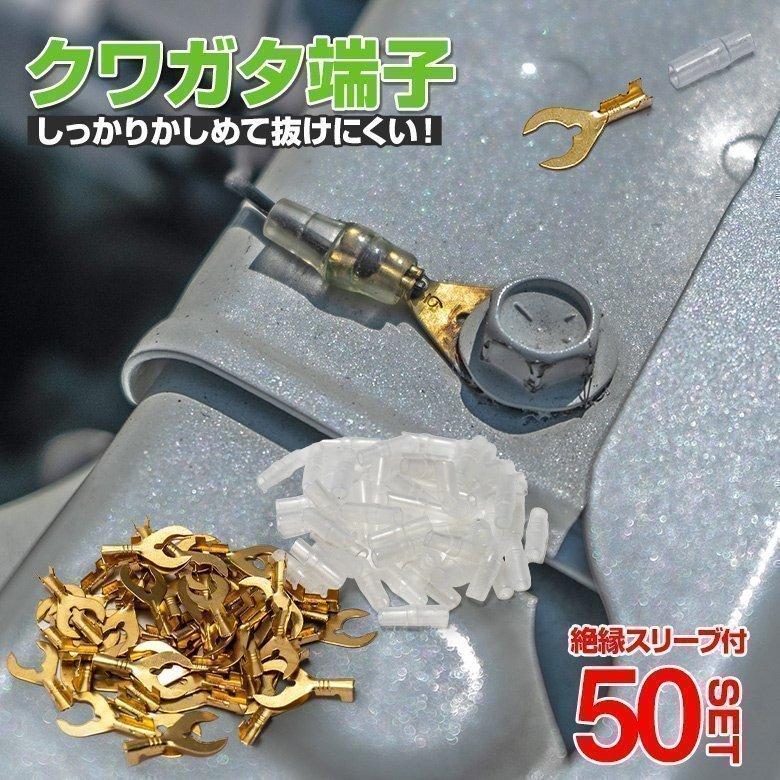 スジブトヒラタクワガタスリーブ　専用 スジブトヒラタクワガタスリーブ 専用