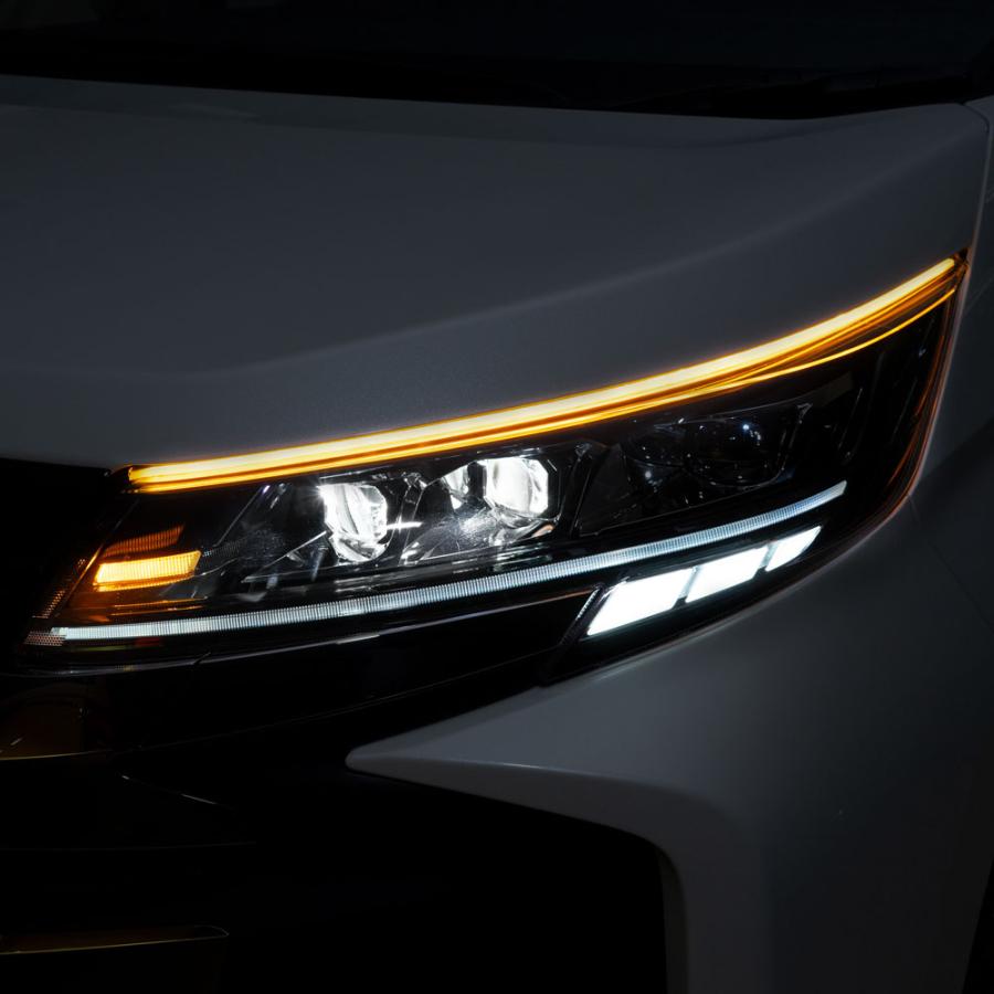 シェアスタイル 汎用 鼓動ウインカー LED テープ 60cm 2p ウィンカー 2