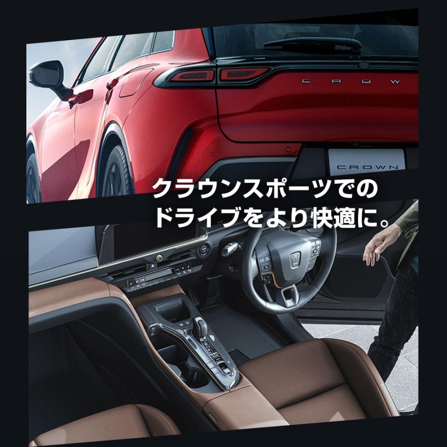 シェアスタイル クラウン スポーツ ナビキャンセラー Eタイプ