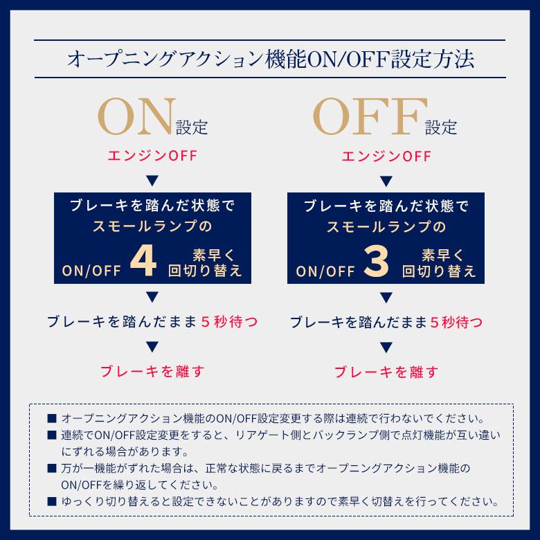 シェアスタイル 【スモークシーケンシャルのみ予約 6月上旬入荷予定
